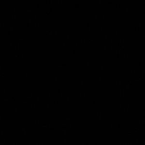 Meet your Posher, Ashlee